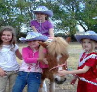 Amberainbow Pony Rides - Tourism Gold Coast