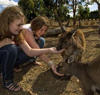 Kangaroo Island Wildlife Park - Tourism Gold Coast