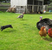 Echo Farm - Tourism Gold Coast