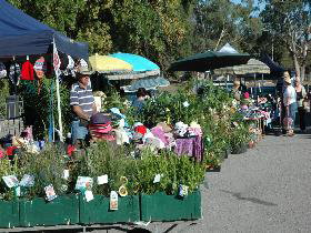 Meadows Monthly Market - Gold Coast 0