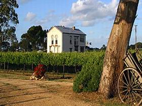 Highbank Vineyards - Tourism Gold Coast 0