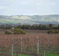 Mclaren Vale Premium Wines - Tourism Gold Coast