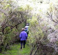 Jack And Hilda McArthur Walk - Tourism Gold Coast