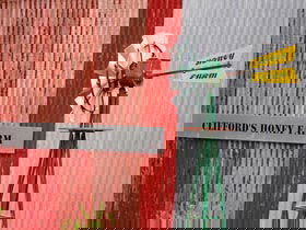 Clifford's Honey Farm - Tourism Gold Coast 0