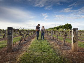 Coonawarra Wineries Walking Trail - Tourism Gold Coast 0