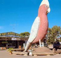 The Big Galah - Tourism Gold Coast