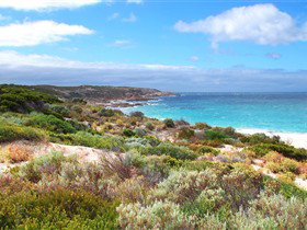 Marion Bay SA Tourism Gold Coast