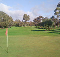 Regency Park Golf Course - Tourism Gold Coast