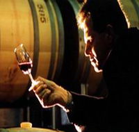 Salena Estate Wines - Tourism Gold Coast
