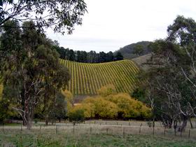 Mt Bera Vineyards - Tourism Gold Coast 0