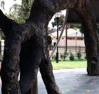 Old Gum Tree - Tourism Gold Coast
