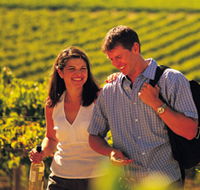 Tinlins Wines Pty Ltd - Tourism Gold Coast