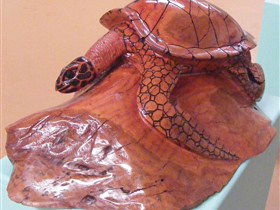 Ants Redgum Gallery - Tourism Gold Coast 0