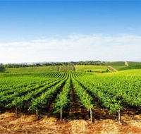 Aldinga Bay Winery - Tourism Gold Coast