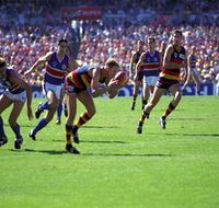 AAMI Stadium Tours - Tourism Gold Coast