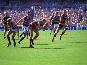 AAMI Stadium Tours - Tourism Gold Coast 0