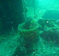 Wallaroo Scuba Club - Tourism Gold Coast