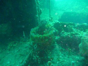 Wallaroo Scuba Club - Tourism Gold Coast 0