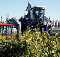 Ballast Stone Estate Wines Pty Ltd - Tourism Gold Coast