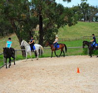 Megan Jones Riding School and Trail Rides - Gold Coast