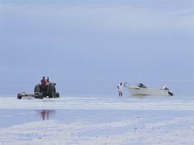 Point Turton SA Tourism Gold Coast