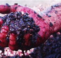 Rusden Wines - Tourism Gold Coast