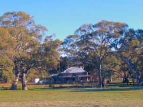 Wilpena Pound SA Tourism Gold Coast