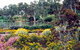 Wittunga Botanic Garden - thumb 0
