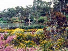 Wittunga Botanic Garden - Tourism Gold Coast 0