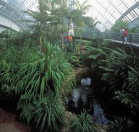 Bicentennial Conservatory - Tourism Gold Coast