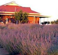 Bella Lavender Estate - Tourism Gold Coast