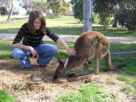 Petherick SA Tourism Gold Coast