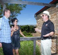 Shingleback Wine Cellar Door - Tourism Gold Coast