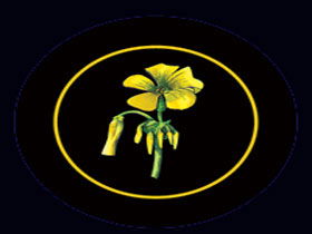 Battle Of Bosworth Wines - Tourism Gold Coast 0