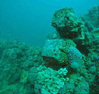 Adelaide's Underwater Heritage Trail - Tourism Gold Coast
