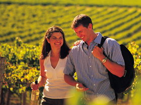 Normanville SA Tourism Gold Coast