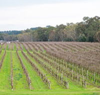 Dennis Wines - Tourism Gold Coast