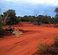 Tallaringa Conservation Park - Tourism Gold Coast