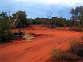 Tallaringa Conservation Park - Tourism Gold Coast 0