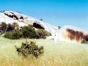 Ucontitchie Hill - Tourism Gold Coast 0