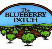 The Blueberry Patch - Tourism Gold Coast