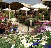 Serenity Nursery - Tourism Gold Coast