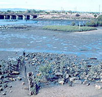 Jervois Basin Ships' Graveyard - Tourism Gold Coast