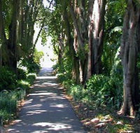 Adelaide Botanic Garden - Tourism Gold Coast