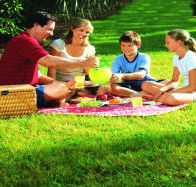 Bruny Island Berry Farm - Tourism Gold Coast