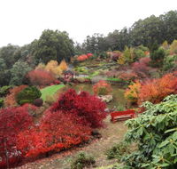 Emu Valley Rhododendron Garden - Tourism Gold Coast