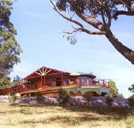 Barringwood Park Vineyard - Tourism Gold Coast