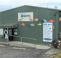 Stanley Seaquarium - Tourism Gold Coast