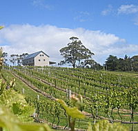 Bruny Island Premium Wines Bar and Grill - Tourism Gold Coast