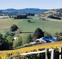 Freycinet Vineyards Pty Ltd - Tourism Gold Coast